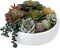 8 Inch Round Modern Artificial Succulent Arrangement Potted in White Concrete Plant Bowl, Assorted Faux Mini Succulents in a Decorative Planter Pot